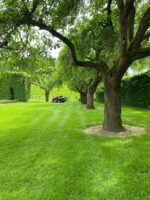 HUSQVARNA TC138L RASENTRAKTOR ANGEBOT Modell 2023 – Bild 3