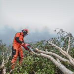 Benzin-Motorsäge 601sx – Bild 8