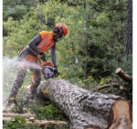 Husqvarna 372 XP – Bild 7